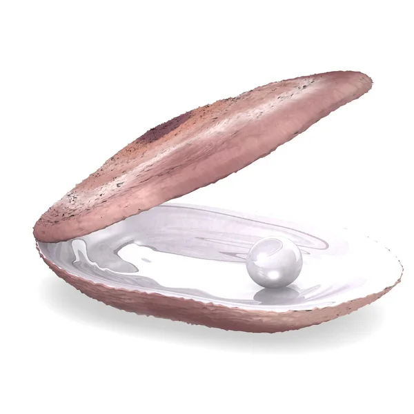 3d render of sea shell — Stock Photo, Image