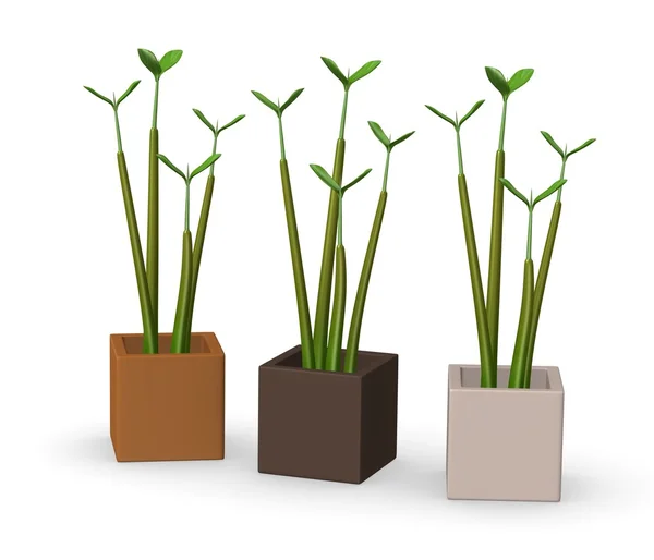 3D-Darstellung von kleinen Pflanzen — Stockfoto