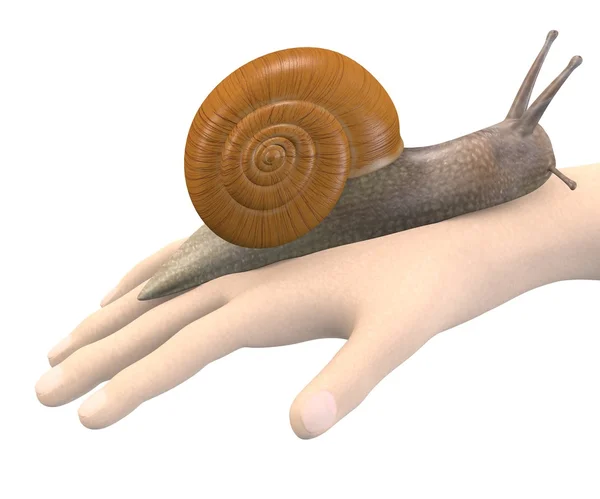 3d rendess of hand with snail — стоковое фото