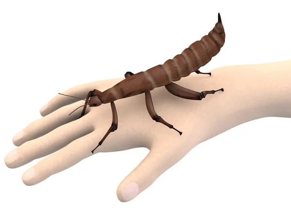 3d renderizado de la mano con insecto espectro —  Fotos de Stock