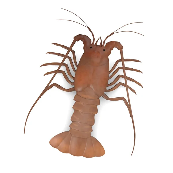 3D renderowania postać z kreskówek z spiny lobster — Zdjęcie stockowe