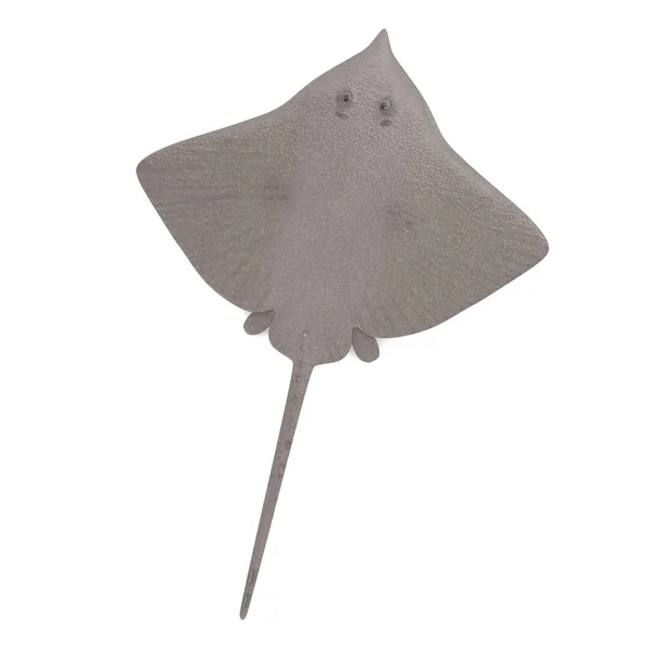 stock image 3d render of stingray animal