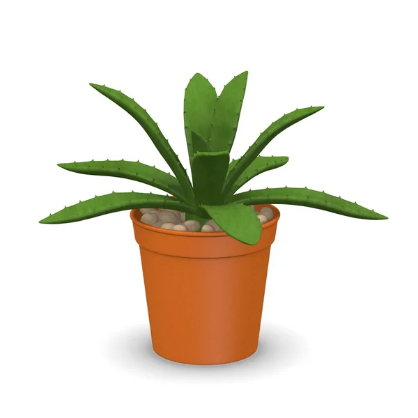3d renderizado de planta suculenta — Foto de Stock