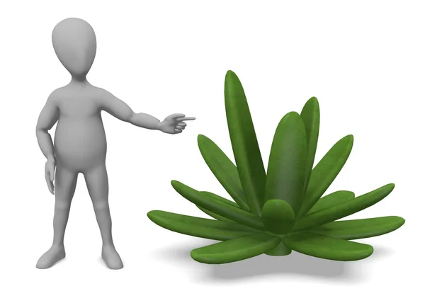 3d render of cartoon character with succulent plant — Stock Photo, Image
