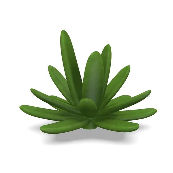3D render saftiga växt — Stockfoto