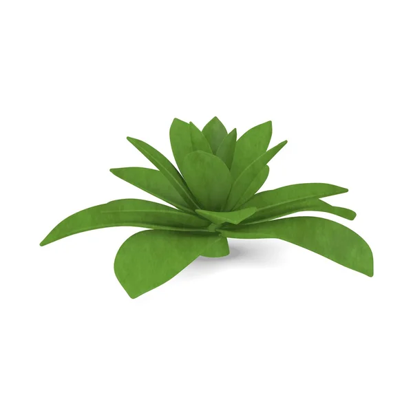 3D render etli bitki — Stok fotoğraf