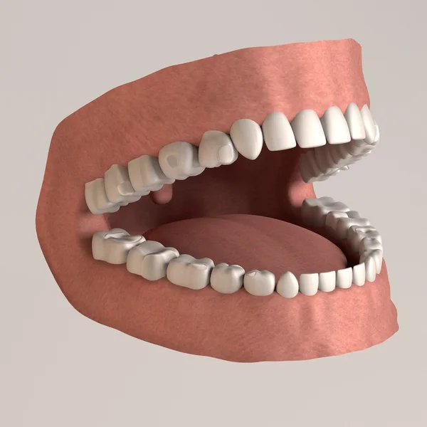 Rendering 3d di denti umani con otturazioni bianche — Foto Stock