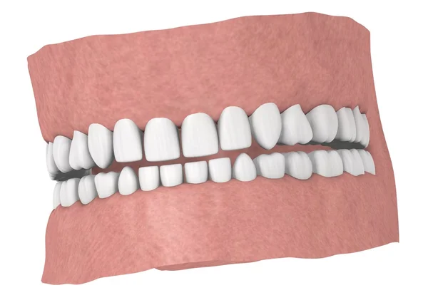 Rendering 3d di denti umani — Foto Stock