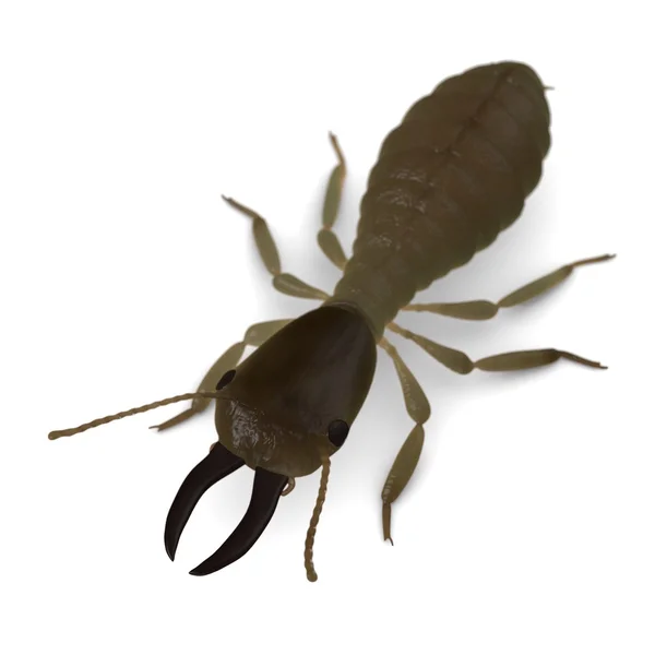 3d renderizado de soldado termita — Foto de Stock