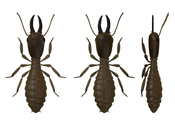 3D činí z termitů vojáka — Stock fotografie
