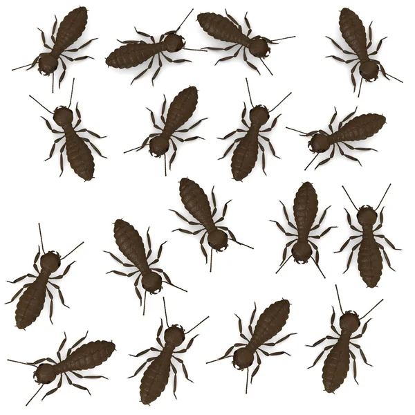 3D vykreslení termitů pracovníků — Stock fotografie