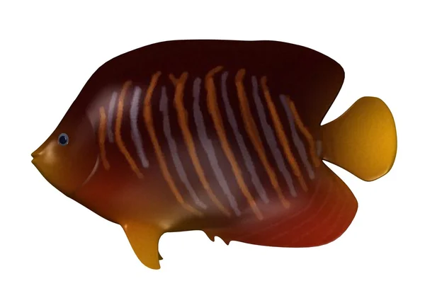 A trópusi halak 3D render — Stock Fotó