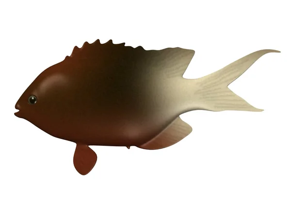 3D činí z tropických ryb — Stock fotografie