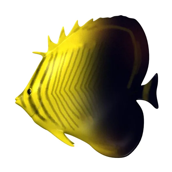 3d 呈现器的热带鱼 — 图库照片