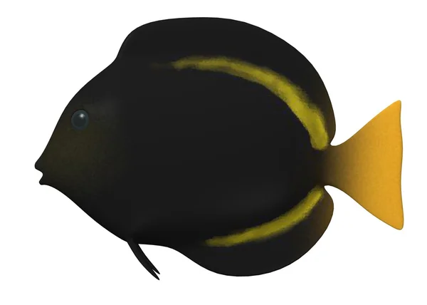 3d renderizado de peces tropicales — Foto de Stock
