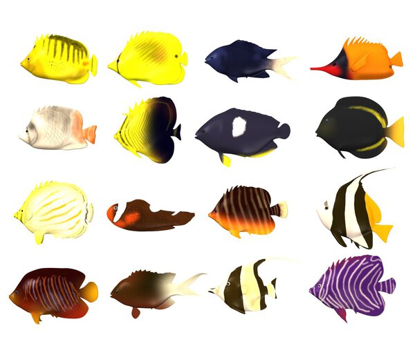 3d render of tropical fishes