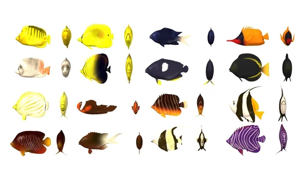 3d render of tropical fishes — Stok fotoğraf