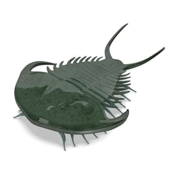 3D render trilobite hayvan — Stok fotoğraf