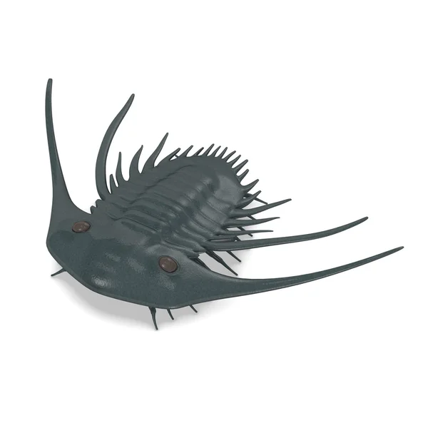 3D Darstellung von Trilobiten — Stockfoto