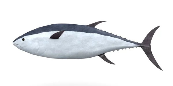 3D renderowania tuńczyka — Zdjęcie stockowe