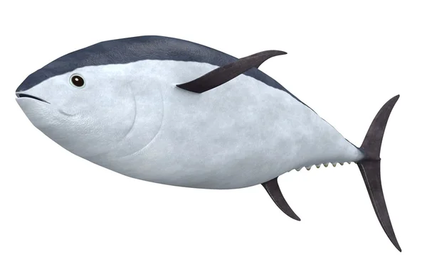 3D рендеринг тунца — стоковое фото