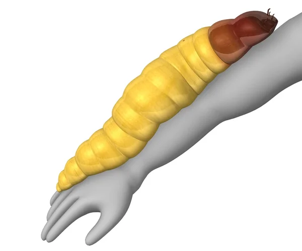 3d render of cartoon character with worm — Stock Photo, Image