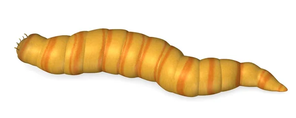 3d renderização de verme inseto — Fotografia de Stock