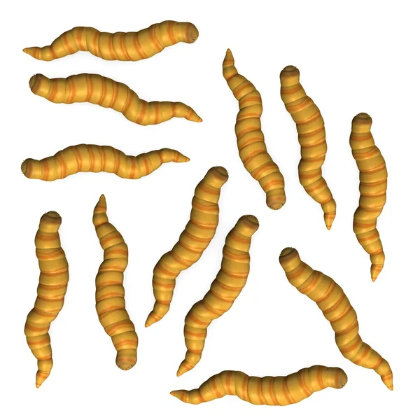 3d render of worm insects — Stock Photo, Image