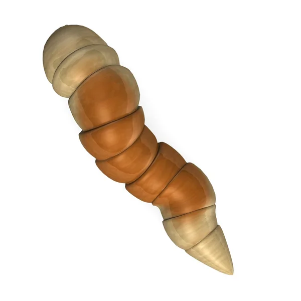 3d renderizado de gusano insecto — Foto de Stock
