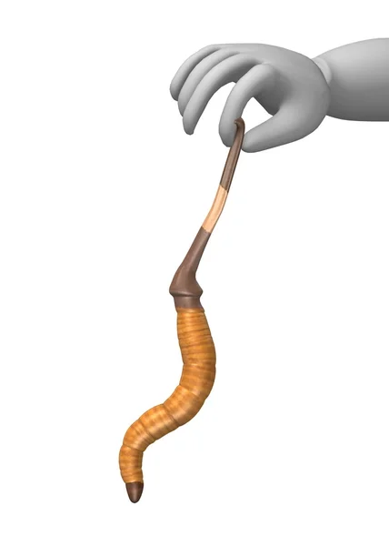 3d render of cartoon character with worm — Stock Photo, Image
