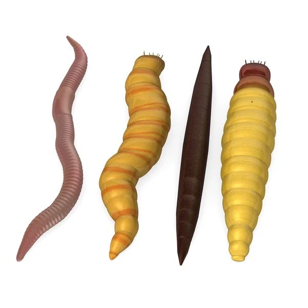3d renderização de insetos vermes — Fotografia de Stock
