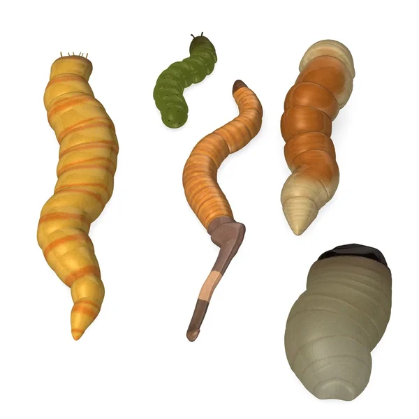 3d render of worm insects — Stock Photo, Image