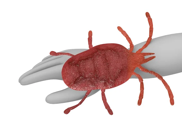 3d render of cartoon character with mite bug — Stock Photo, Image