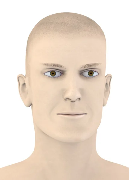 3d 呈现器的人工张男性的脸 — 图库照片