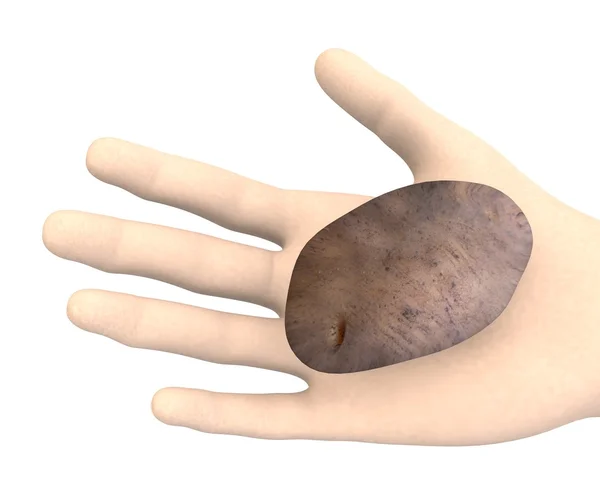 3D renderowania strony z ziemniaków — Zdjęcie stockowe