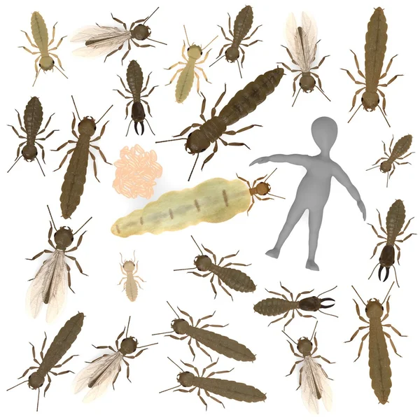3D-Darstellung der Zeichentrickfigur mit Termite — Stockfoto