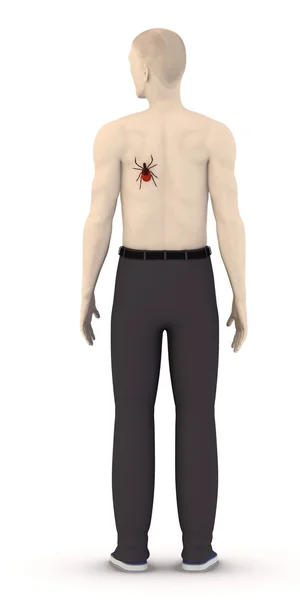 3d render of artifical character with tick — Stock Photo, Image