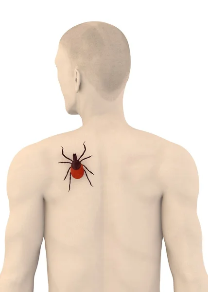 stock image 3d render of artifical character with tick