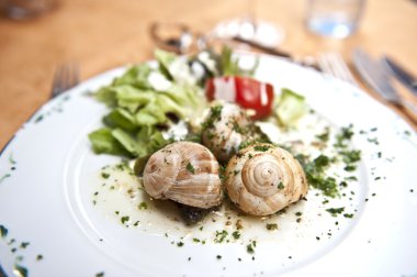 Snail Cuisine clipart