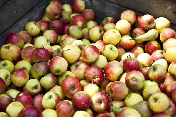 सफरचंद आणि मोती — स्टॉक फोटो, इमेज