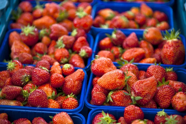 stock image Blue Strawberry Baskets