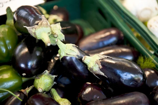 Eggplants — Zdjęcie stockowe