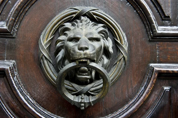 stock image Lion Knocker