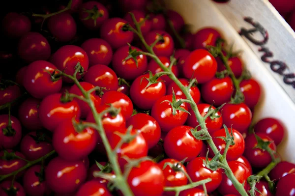 Small Tomatoes — Stock Photo, Image