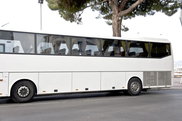 Ônibus branco — Fotografia de Stock