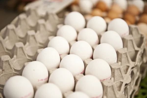 Karton biały jaja — Zdjęcie stockowe