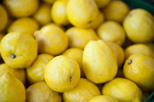 Zesty cytryny — Zdjęcie stockowe