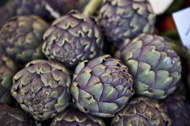 Purple Artichokes clipart