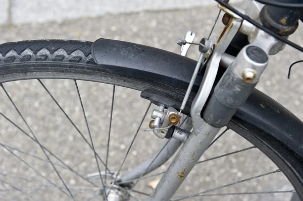stock image Bicycle Tire