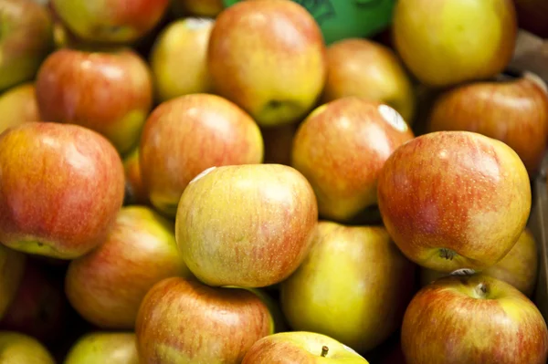 Jasne jabłka — Zdjęcie stockowe